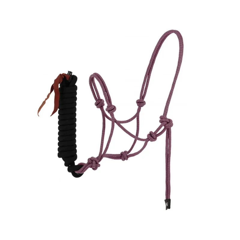 Haute Qualit NORTON - Licol thologique + Longe Duo - Cheval - Rose