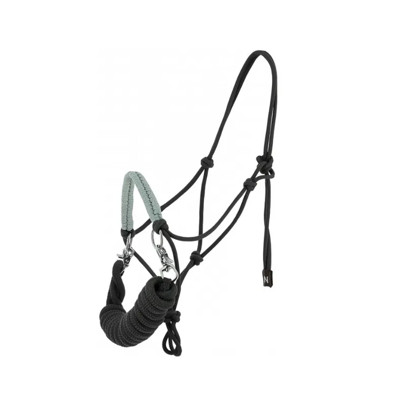 NORTON - Licol thologique + rnes Fancy - Cheval - Gris Remise