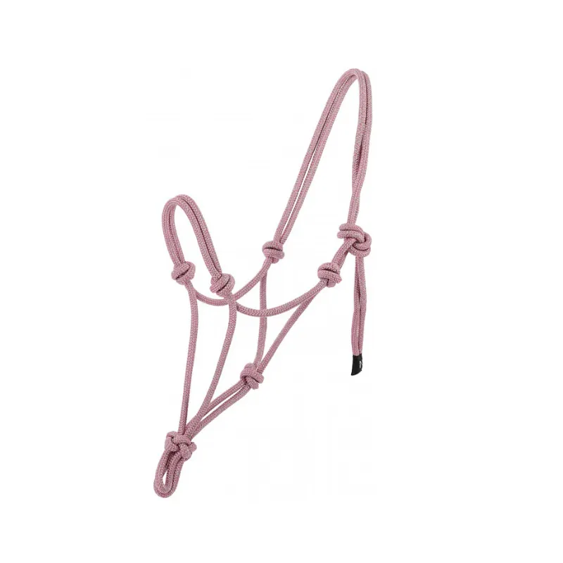 Vente Directe NORTON – Licol thologique Glim – Cheval – Rose
