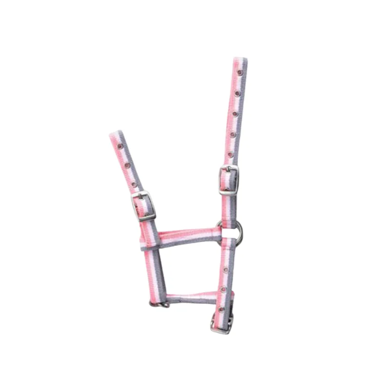 NORTON - Licol foal rglable - Poulain - Gris / Blanc / Rose Bon March
