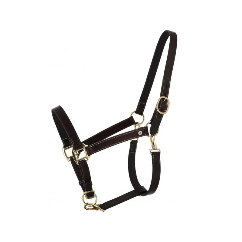 Rduction NORTON - Licol grooming cuir huil Derby - Cob - Havane