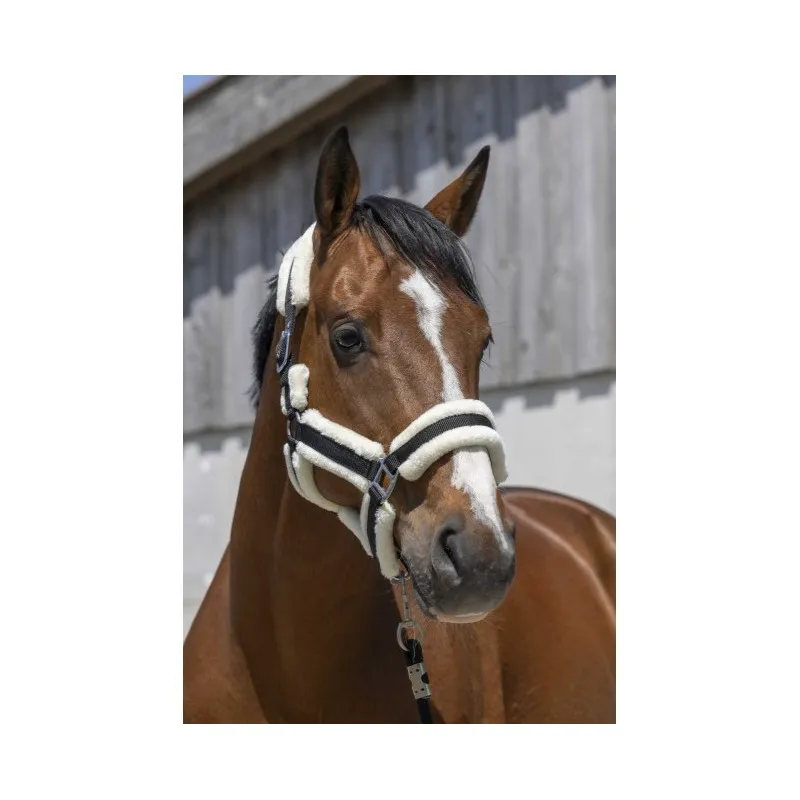 Prix Cass NORTON - Licol mouton Cosy - Shetland - Noir