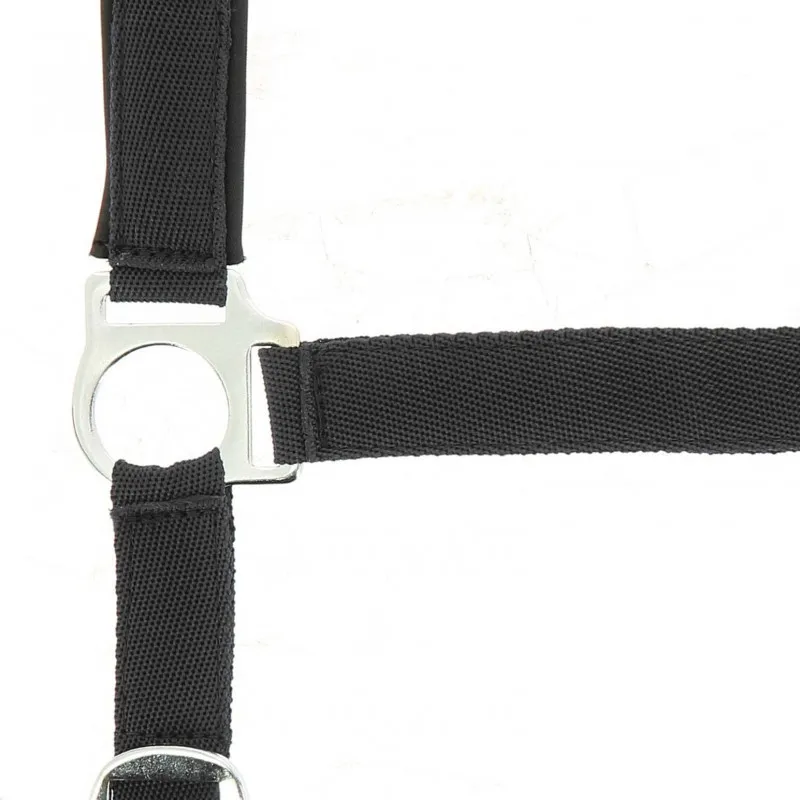 NORTON - Licol nylon doubl noprne - Shetland - Noir Acheter En Ligne