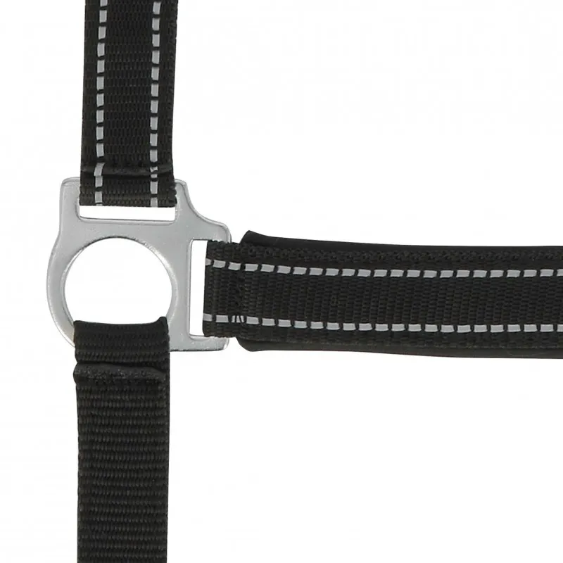 Nouveaut NORTON - Licol Reflective - Poney - Noir
