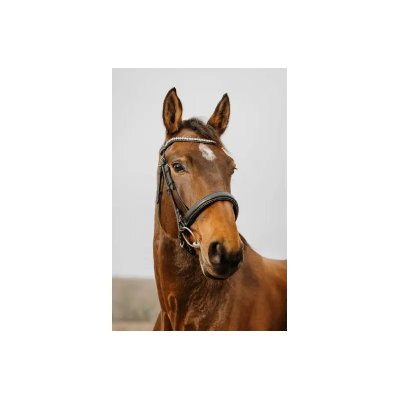 NORTON CLUB - Bridon Diva - Cob - Noir Jusqu puisement Des Stocks