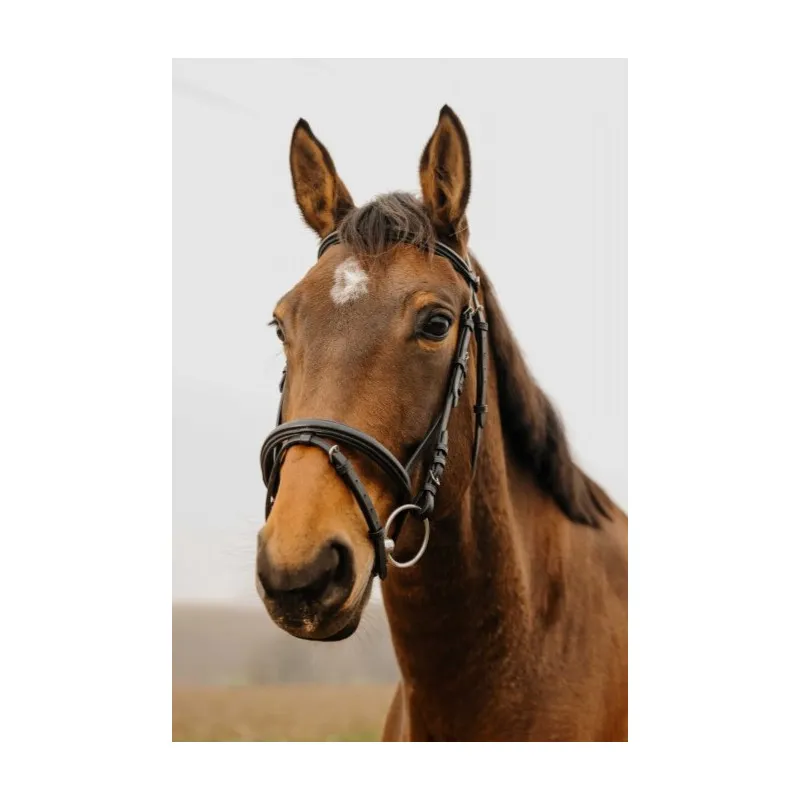 Prix Bas NORTON CLUB - Bridon Square - Poney - Noir