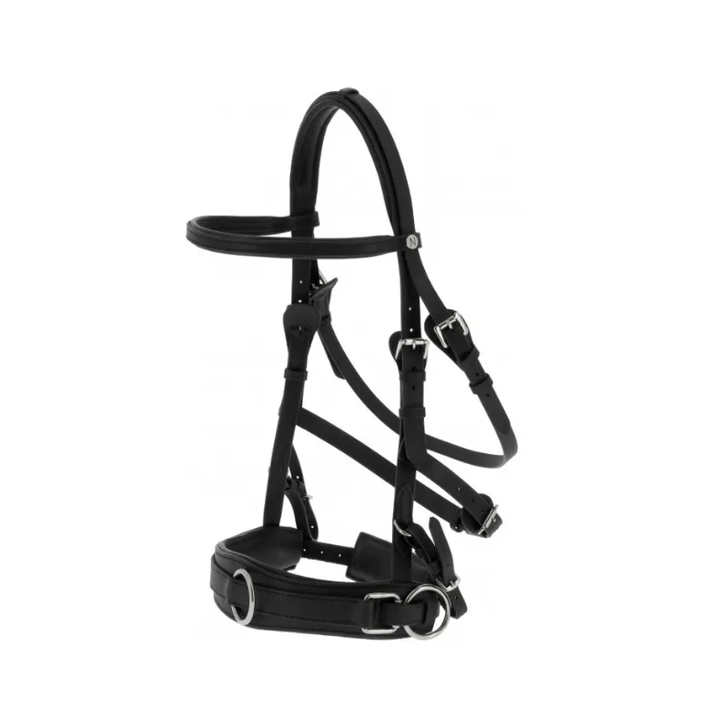 NORTON CLUB - Caveon large - Cob - Noir Quantit Limite