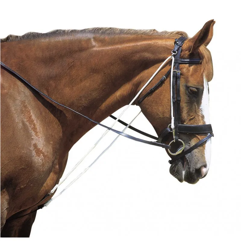 Usine Directe NORTON CLUB - Chambon poulies - Cheval - Noir
