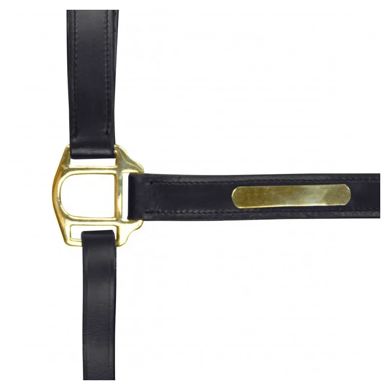 Commander Maintenant NORTON CLUB - Licol double rglage - Cob - Noir
