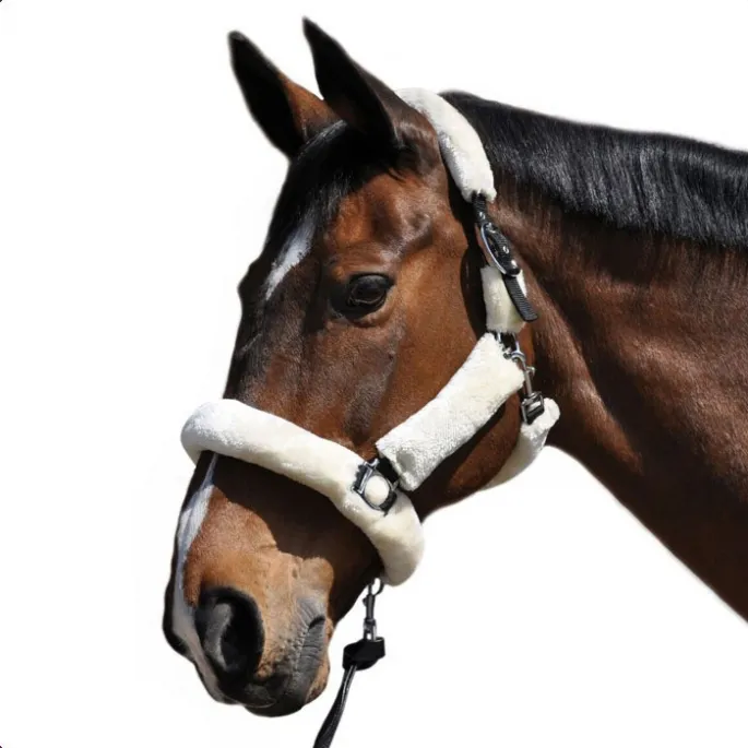 Top Vente Licol de transport - Flags&Cup - noir - cheval (full )