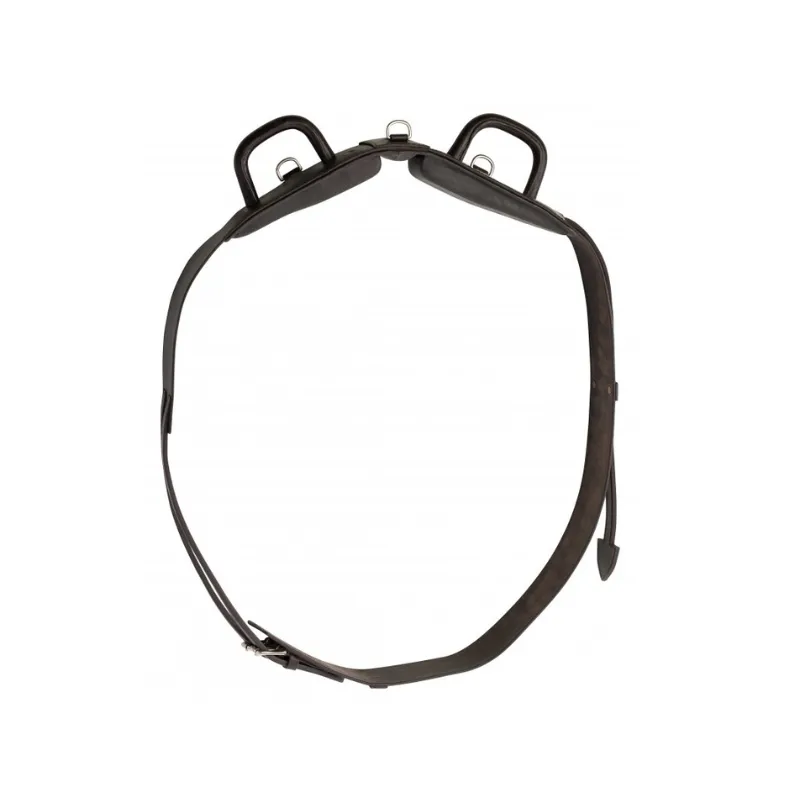 NORTON CLUB - Surfaix de voltige poignes fermes - Poney - Havane Top Vente