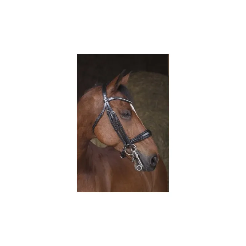 Petit Prix NORTON PRO – Bride – Cob – Noir
