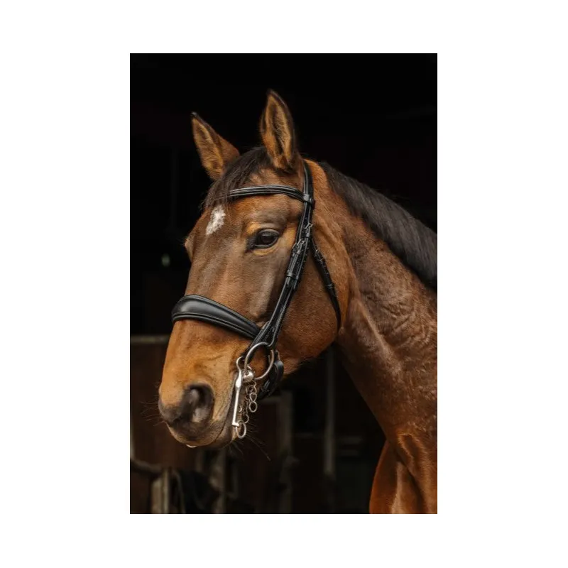 Affaire  Saisir NORTON PRO – Bride Basal – Poney – Noir