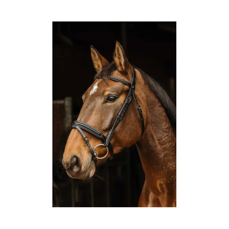 NORTON PRO – Bridon Apophyse – Poney – Noir Meilleure Vente