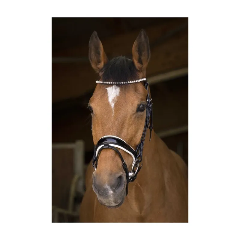 Dernire Chance NORTON PRO – Bridon Bella – Cob – Noir