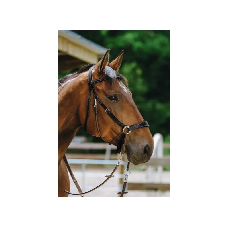 Acheter Direct NORTON PRO – Bridon Bitless – Cheval – Noir