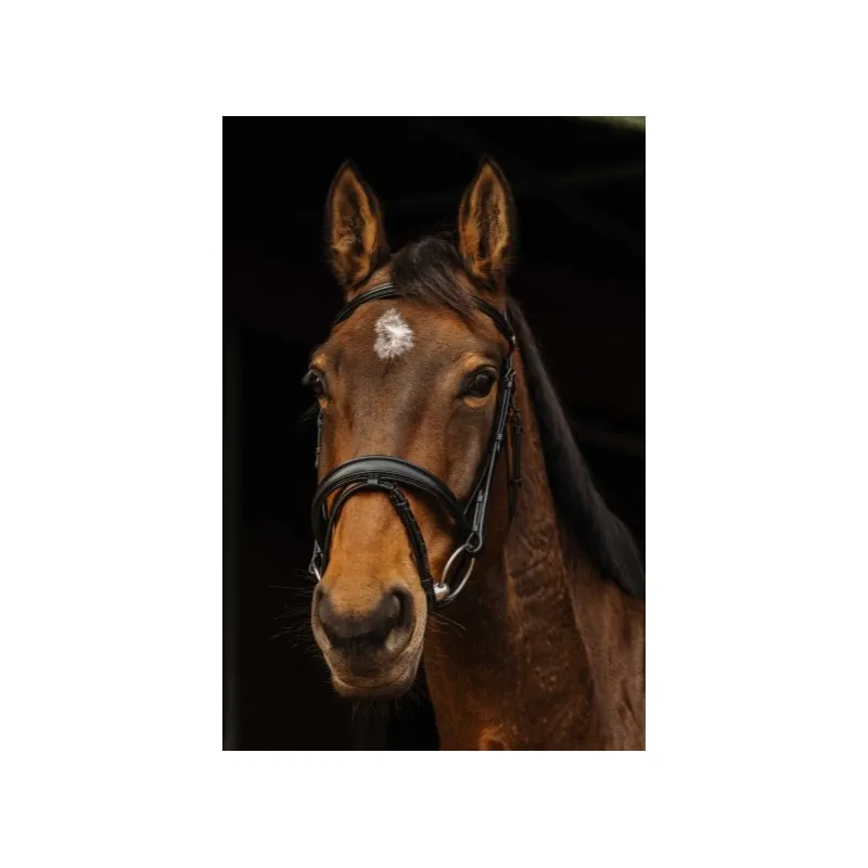 Top Vente NORTON PRO – Bridon Dark – Cob – Noir