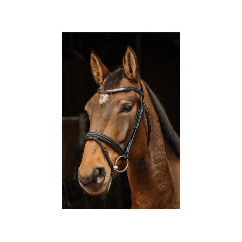 Vente Flash NORTON PRO – Bridon Galon – Cob – Noir