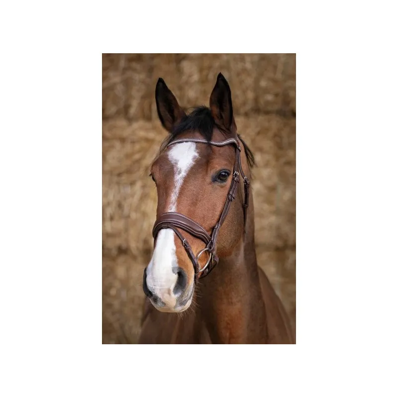 Solde NORTON PRO – Bridon Miss – Poney – Havane