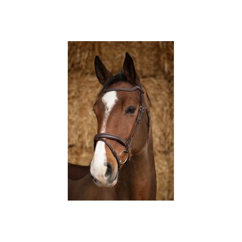 Prix Choc NORTON PRO – Bridon Perle – Cob