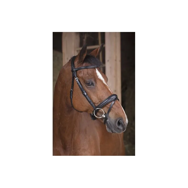 Haute Qualit NORTON PRO – Bridon Soft – Cob – Noir