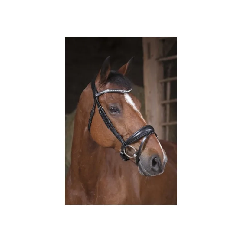Prix Choc NORTON PRO – Bridon Strass – Cob – Noir