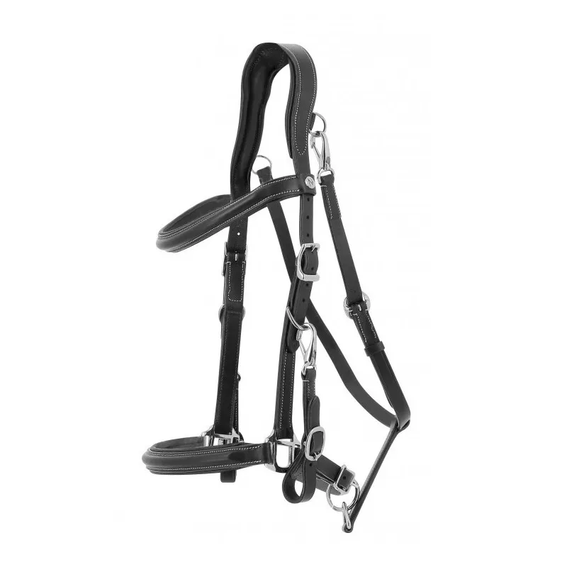 Livraison Express NORTON PRO – Bridon-licol Trekking – Cob – Noir