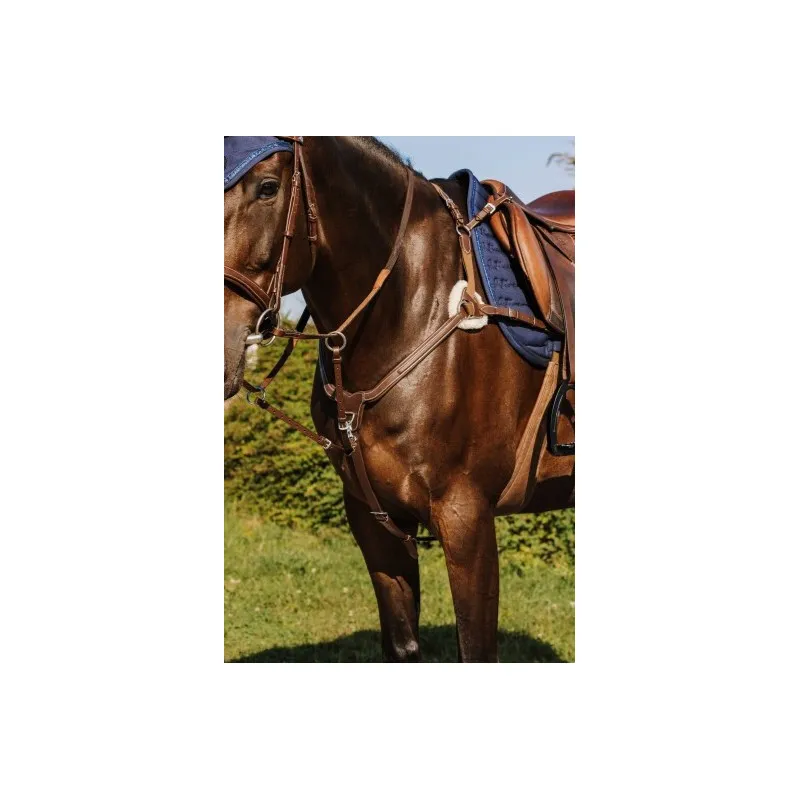 Commander Maintenant NORTON PRO – Collier de chasse 5 points – Cob – Noir