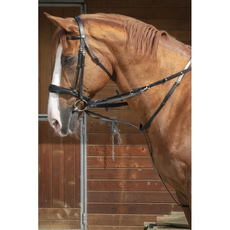 NORTON PRO – Enrnement Thiedeman – Poney – Noir Vente Flash