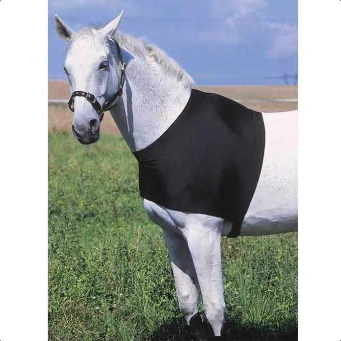 Protection d&rsquo;paules – Equithme – noir – S Vente Directe