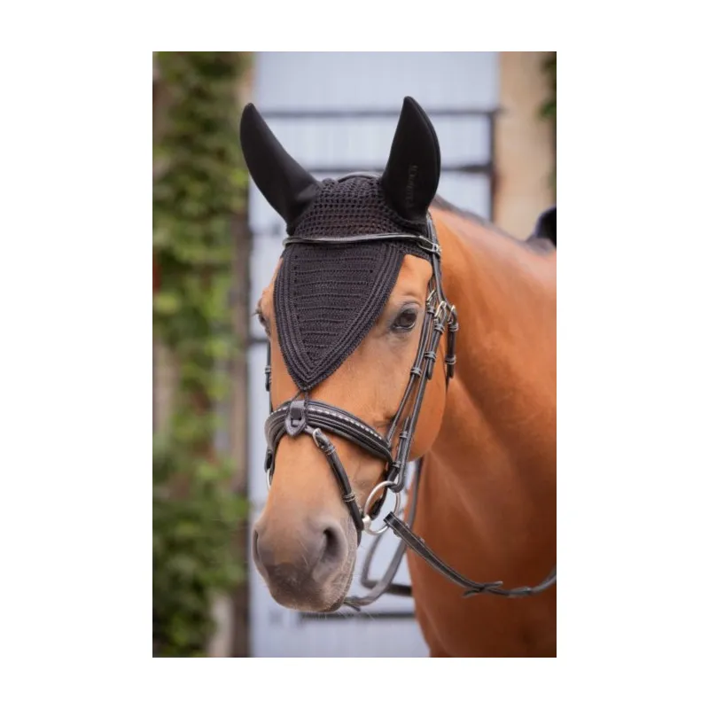 PADDOCK - Bonnet pour chevaux coton long Soundless - Cob - Noir Nouvelle Collection
