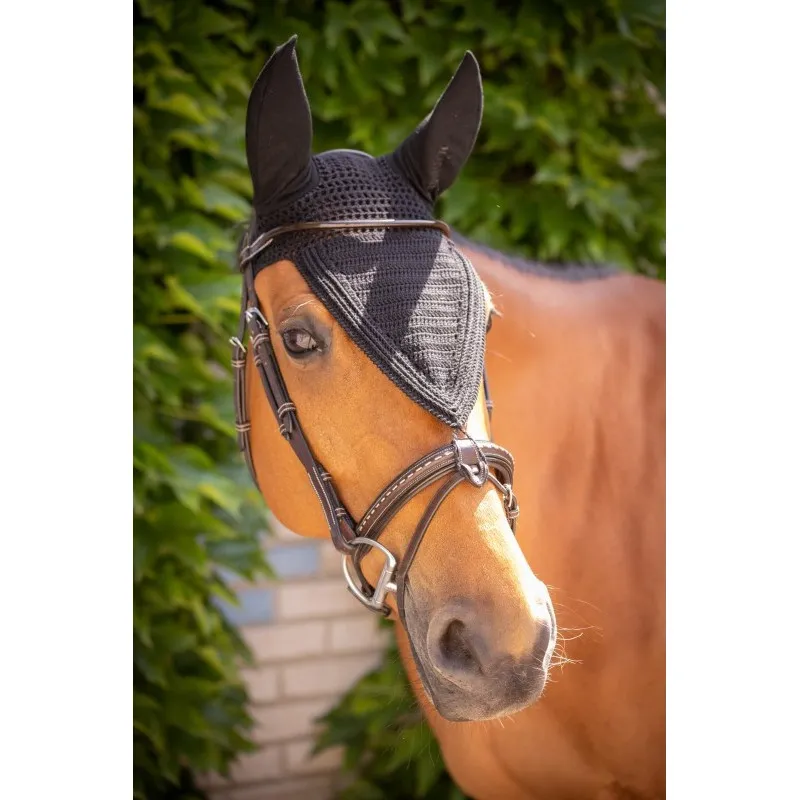 PADDOCK - Bonnet pour chevaux long Pro Coton - Cob - Noir Quantit Limite