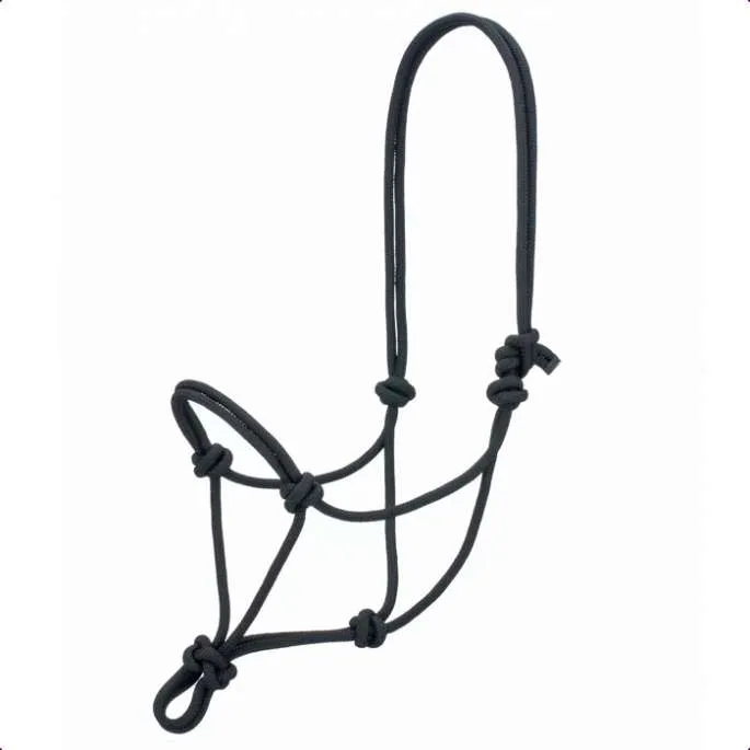 Licol thologique cheval - marine Prix Rduit