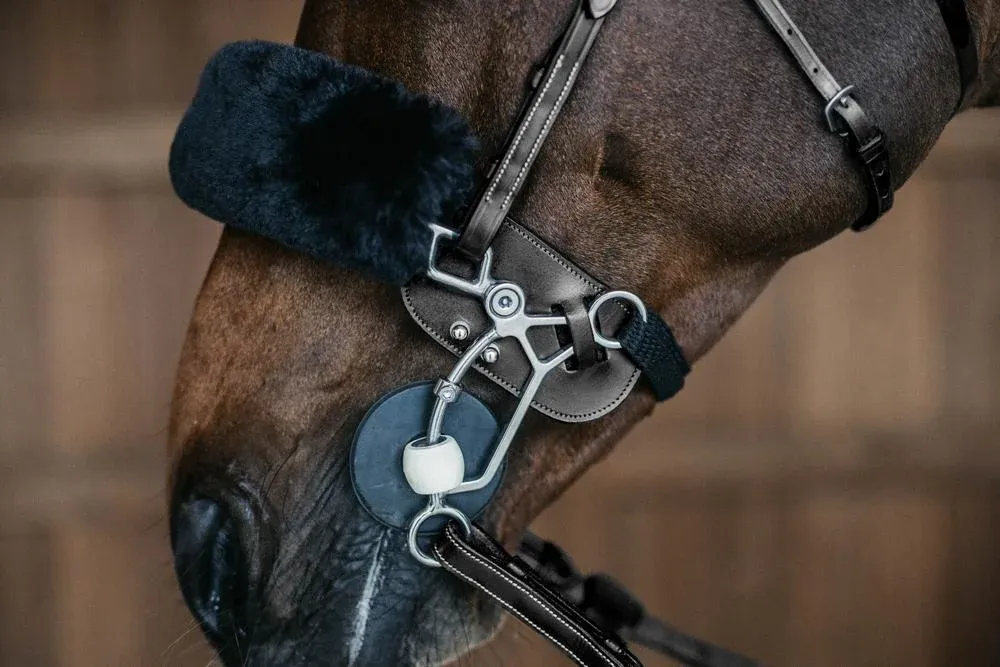 Protection de Hackamore Dy'on - Noir Livraison Express
