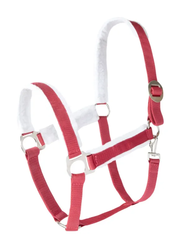 Licol de Nol Horze - Cheval - Port Royale Bon March