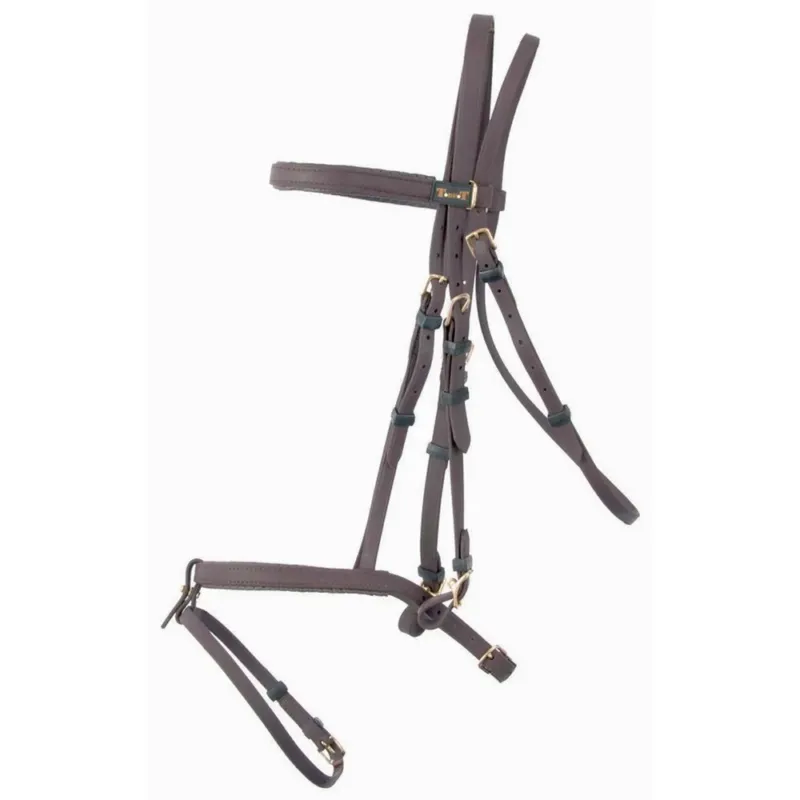 Dernire Chance Bridon Biotack T de T - Cheval - Marron
