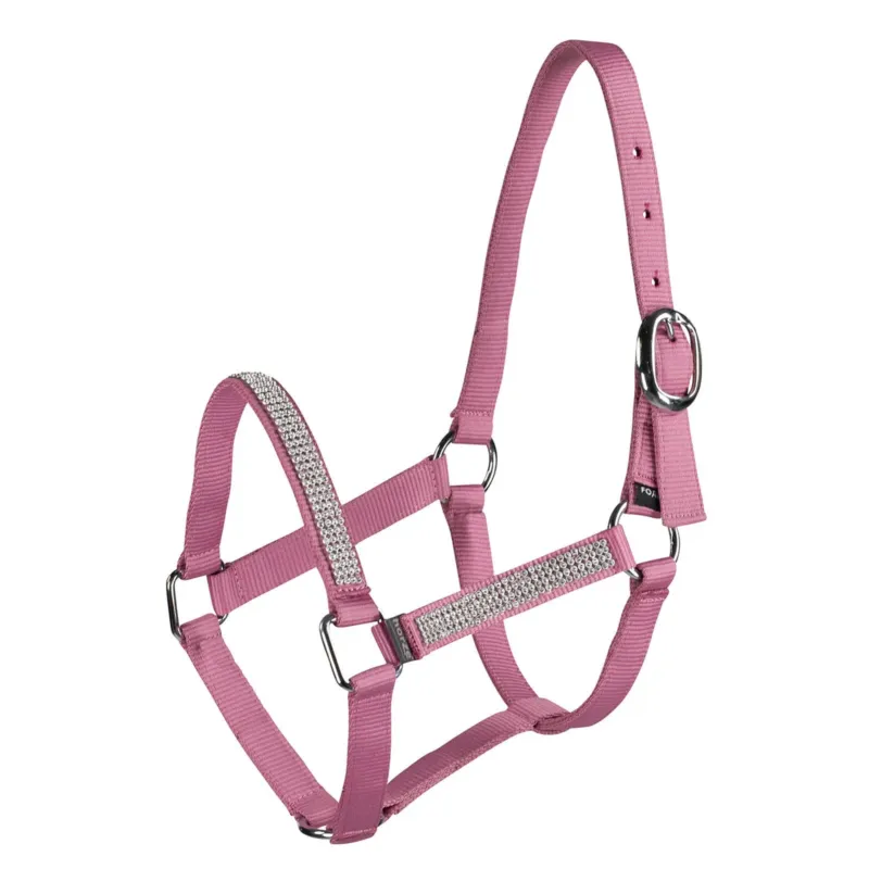 Prix Choc Licol poulain strass Horze - Mini - Rose