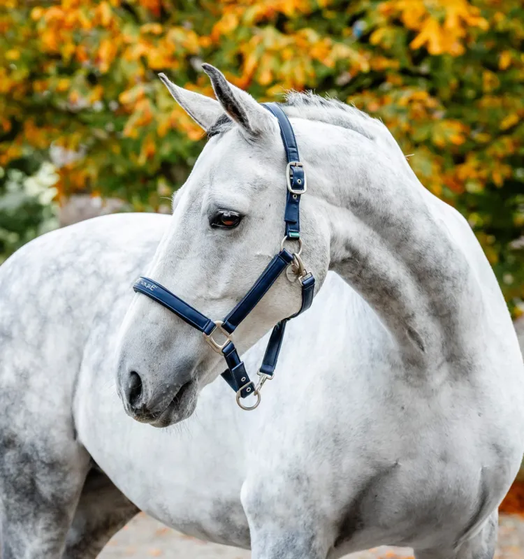 Acheter En Ligne Licol de Pansage Horseware - Poney - Marine