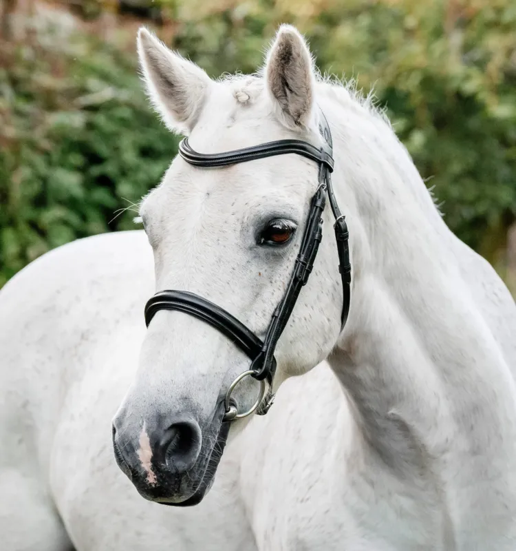 Livraison Express Bridon poney Horseware Cavesson - Poney - Noir