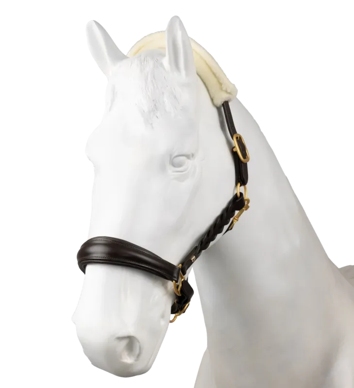 Seulement Aujourdhui Licol en cuir Horze Rennes - Grand Cheval - Marron