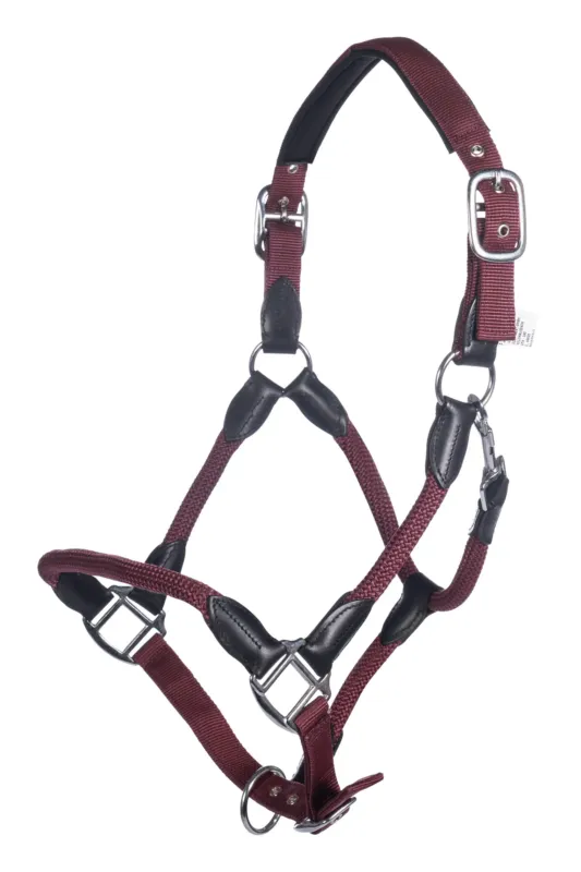 Licol Carlotta HKM - Cob - Bordeaux Seulement Aujourdhui