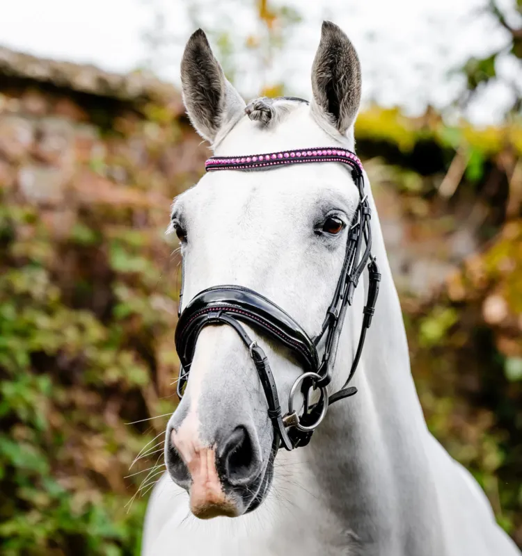 Bridon Horseware Diamante Flash - Grand cheval - Noir / rose Solde