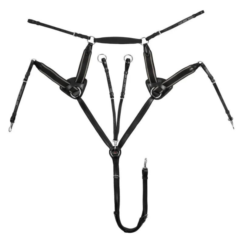 Collier de chasse Supreme 5 points - Cheval - Noir Livraison Express