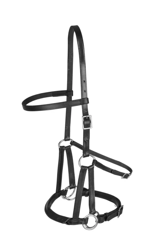 Jusqu puisement Des Stocks Bridon sans mors Linda tellington-jones – Cheval – Noir