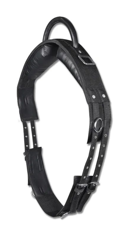 Surfaix Star  une poigne – Cheval – Noir Nouvel Arrivage