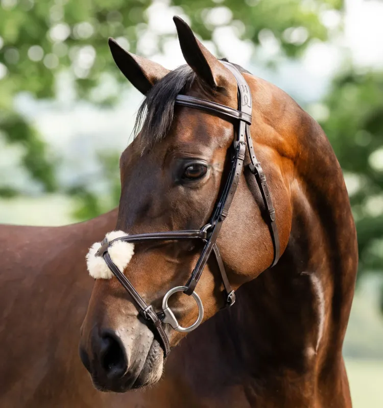 Bridon Grackle en forme de 8 Horseware muserolle croise - Grand cheval - Marron Vente Directe