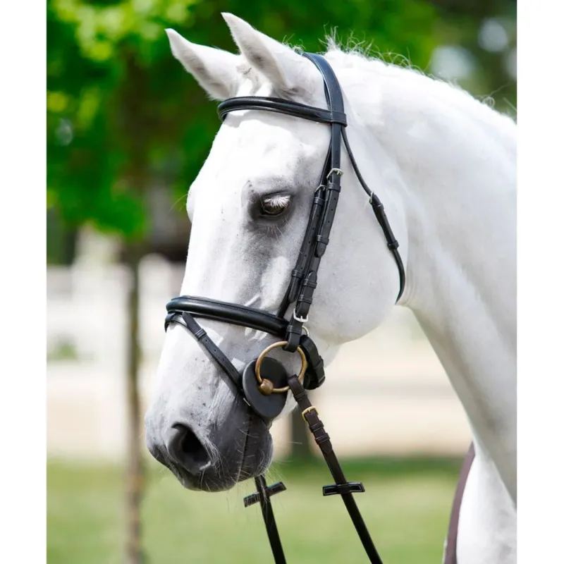 Bridon ttire Tattini frontal licol rembourrs – Cheval – Marron Quantit Limite