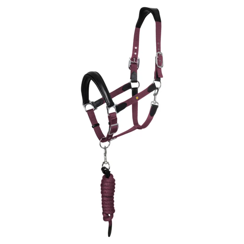 Achat Immdiat Licol ergonomique Equestro avec inserts en cuir – Cob – Noir / bordeaux