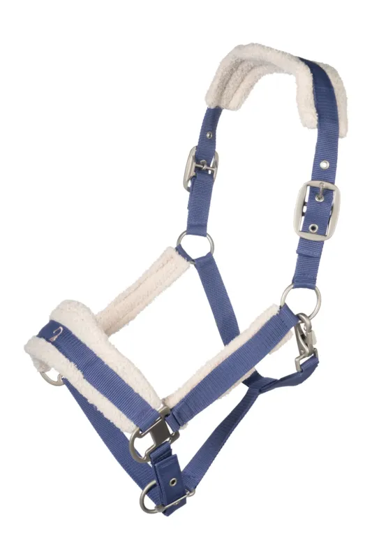Vente Directe Licol Arezzo Lauria Garrelli - Poney - Indigo