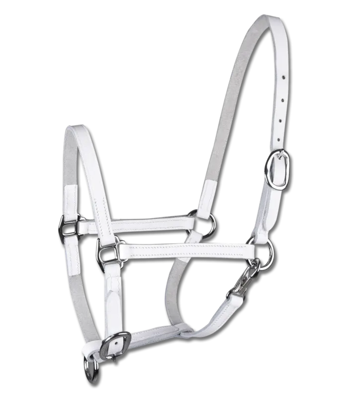 Licol de prsentation cuir Star poulain – Shetland – Blanc Prix Cass